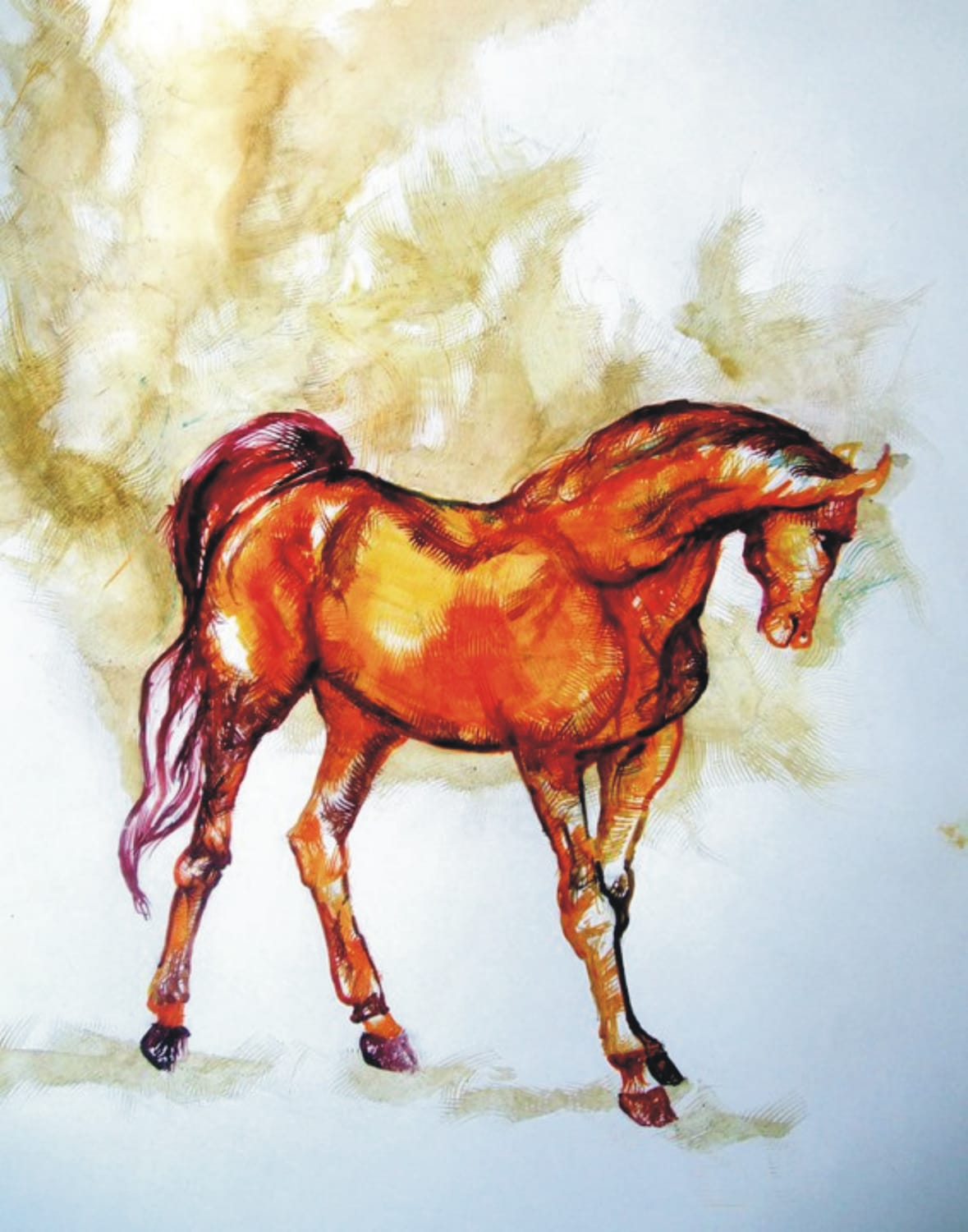 "Flaming Gallop"
