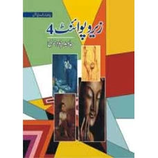 Zero Point 4 by Javeed Chaudhry