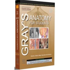 Grays Anatomy for Students 4th edition