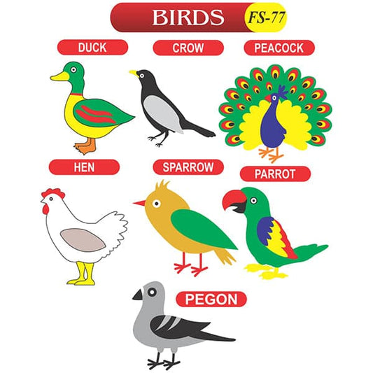 Kids Learning Educational Foam Wall Birds Animal