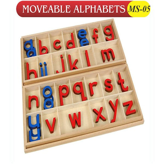 Wooden Movable Alphabet with Box for Kids