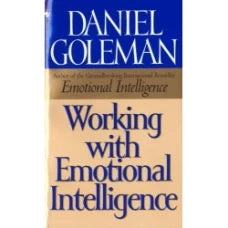 Working with Emotional Intelligence by Daniel Goleman